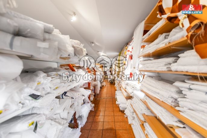 Pronájem, Obchod a služby, Domažlice