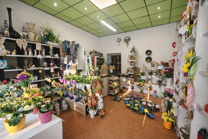 Pronájem, Obchod a služby, Ostrava