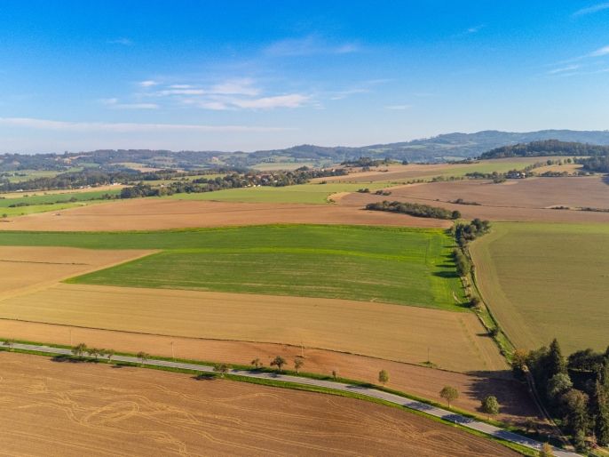 Prodej, Pole, Bystřice
