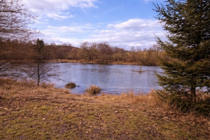 Prodej, Pozemek k bydlení, Křečovice