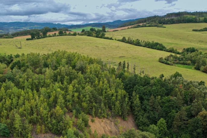 Prodej, Ostatní, Hrdlív