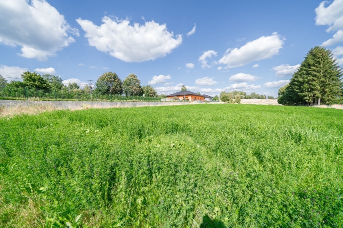 Prodej, Ostatní, Plesná