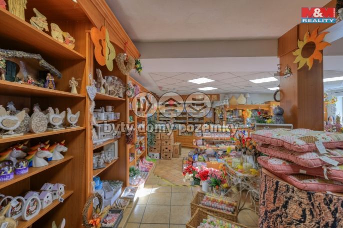 Pronájem, Obchod a služby, Železná Ruda