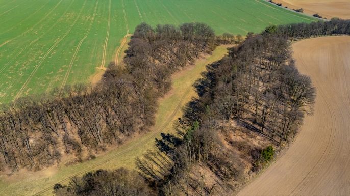 Prodej, Louka, Tachov