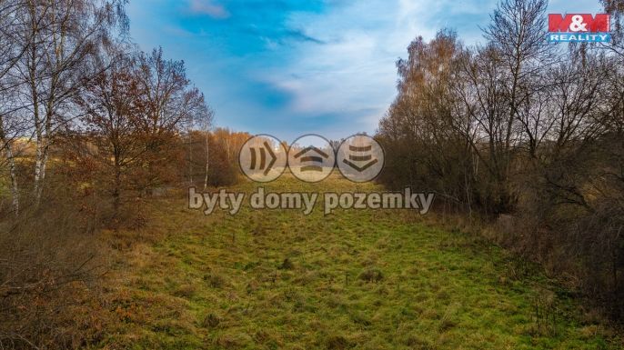 Prodej, Louka, Česká Lípa