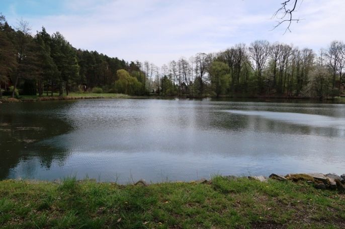 Prodej, Chata, Svojšice