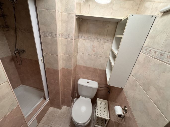 Pronájem, Byt 1+1, Jinočany