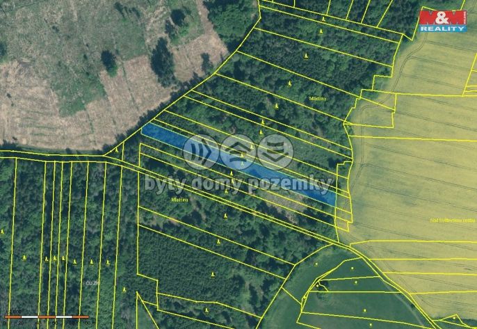 Prodej, Les, Stehlovice