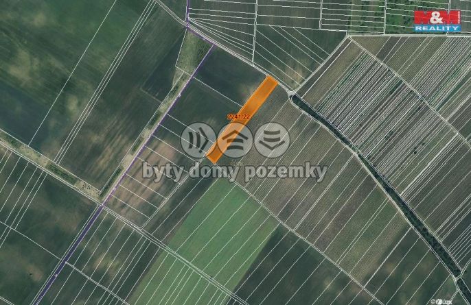 Prodej, Pole, Hrušky