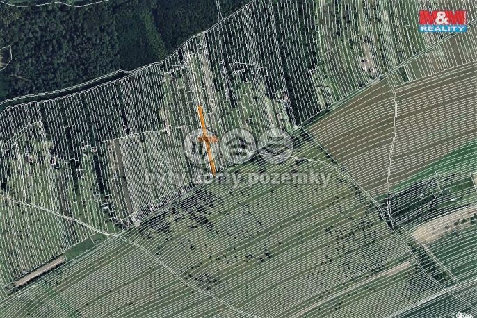 Prodej, Vinice, Břeclav