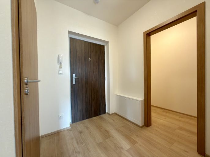 Pronájem, Byt 1+kk, České Budějovice