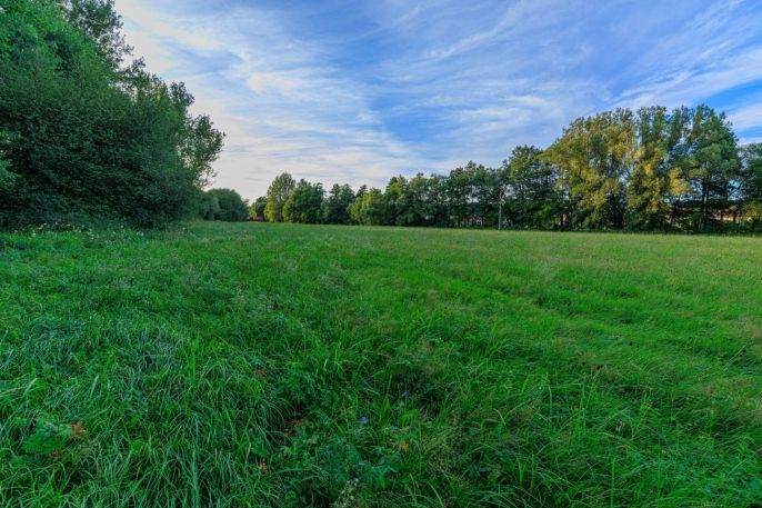 Prodej, Louka, Horní Bříza