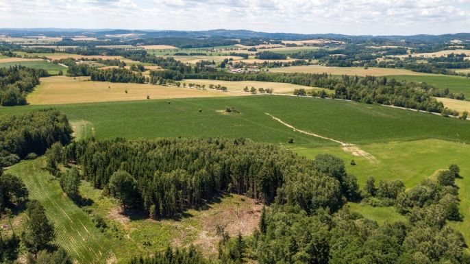 Prodej, Pole, Mysliboř