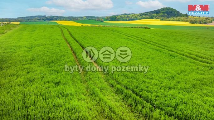 Prodej, Komerční pozemky, Tachov