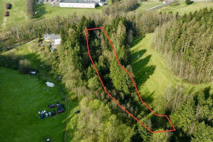 Prodej, Les, Dolní Dobrouč