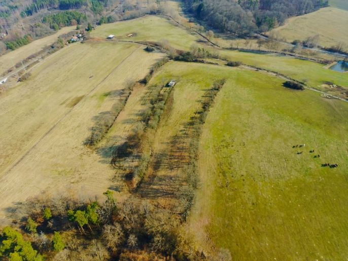 Prodej, Pole, Kladruby