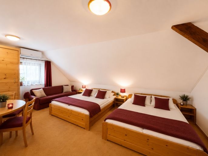 Prodej, Hotel, penzion, Nová Pec
