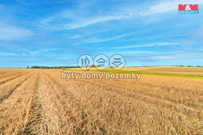 Prodej, Pole, Krásné Údolí