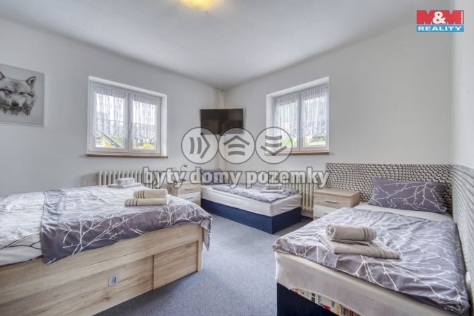 Prodej, Hotel, penzion, Železná Ruda