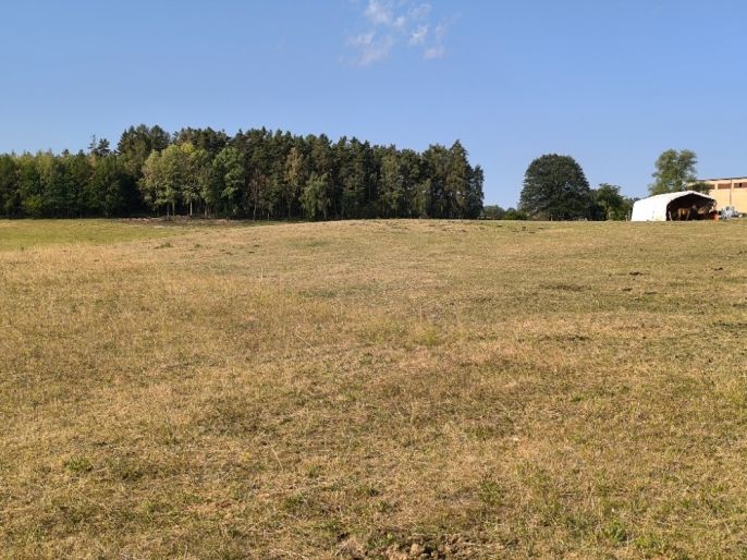 Prodej, Louka, Hoslovice