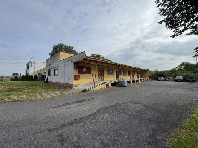 Pronájem, Sklad, Opava