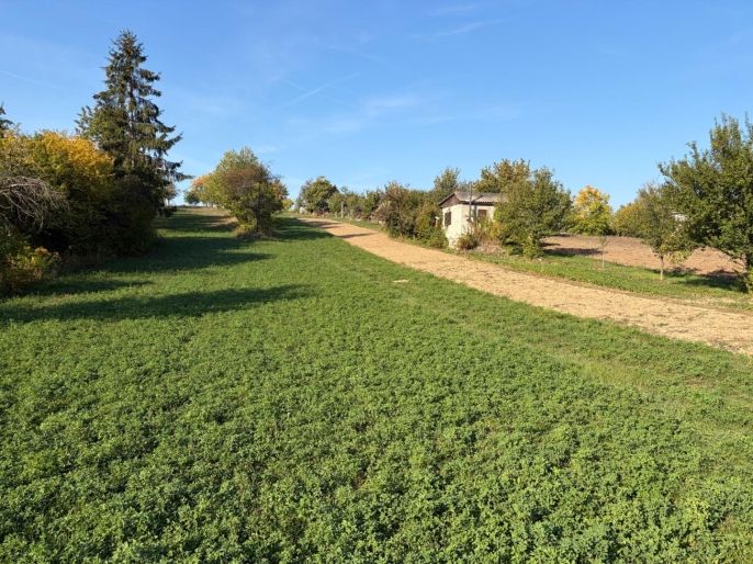 Prodej, Zahrada, Šlapanice