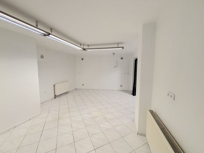 Pronájem, Obchod a služby, Slaný