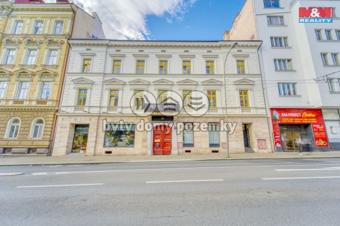 Pronájem, Byt 1+kk, Plzeň