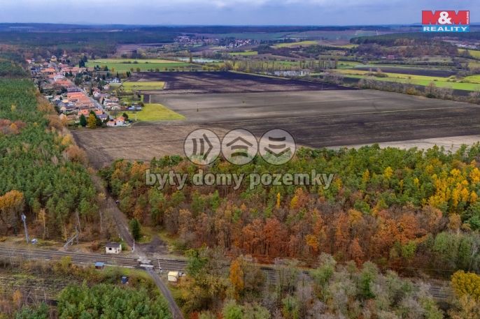 Prodej, Les, Lysá nad Labem