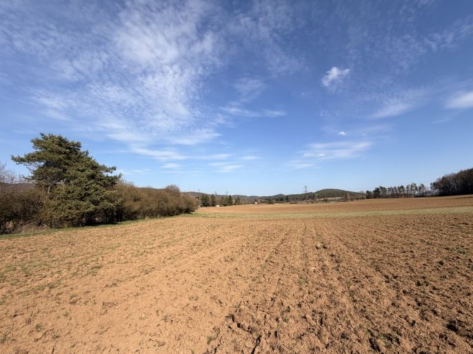 Prodej, Pole, Drevníky