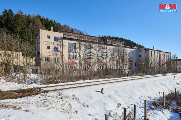 Prodej, Výrobní objekt, Trutnov