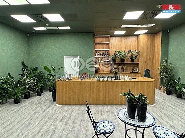 Pronájem, Obchod a služby, Brno