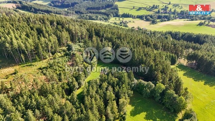 Prodej, Les, Petrovice u Sušice
