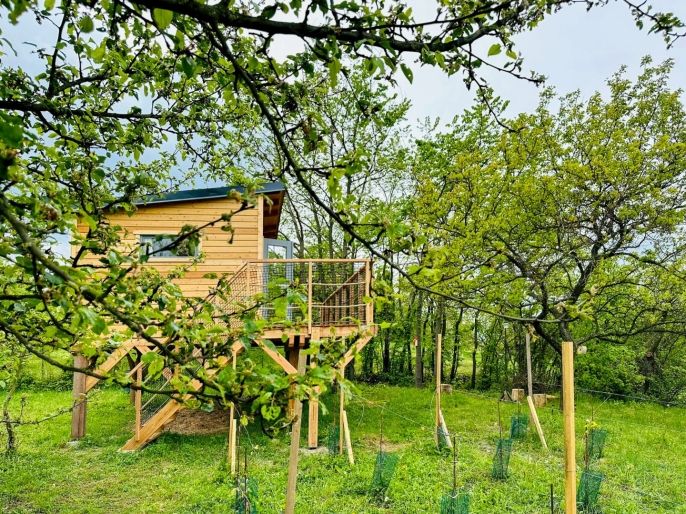 Prodej, Chata, Blučina