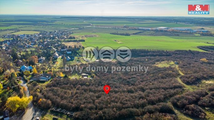 Prodej, Ostatní, Nepřevázka