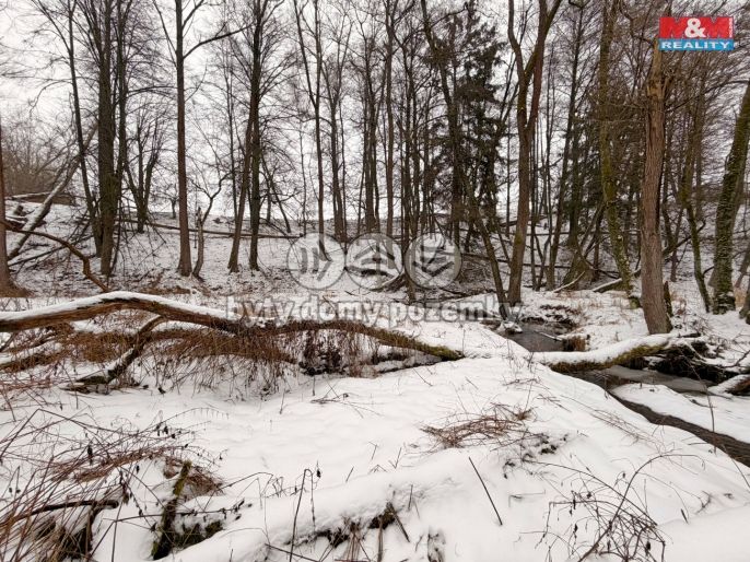 Prodej, Vodní plocha, Dolní Hořice