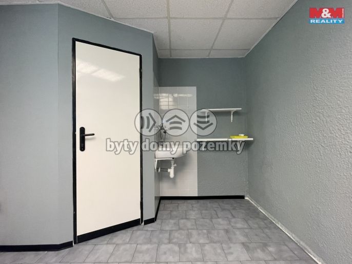 Pronájem, Ostatní, Most