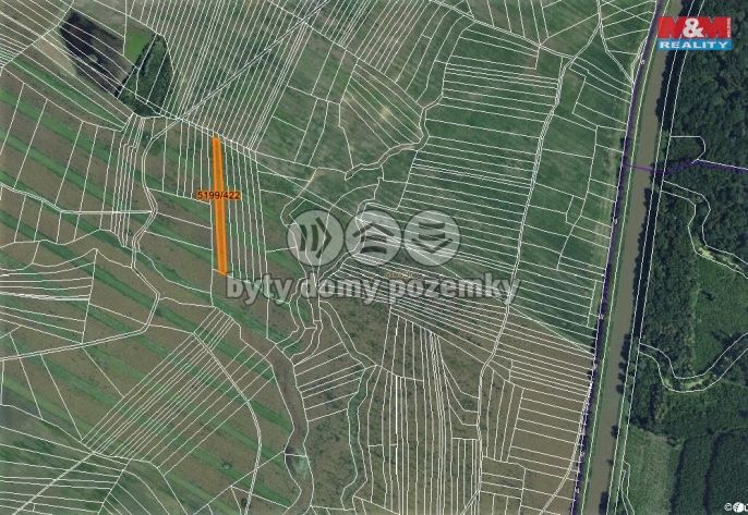 Prodej, Pole, Bzenec