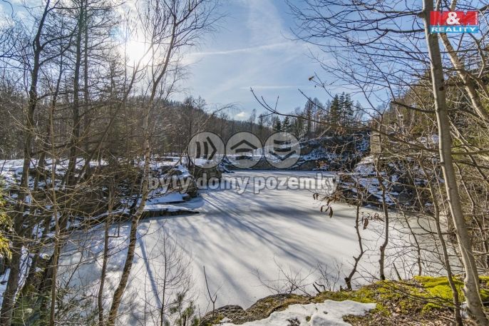 Prodej, Hotel, penzion, Černá Voda