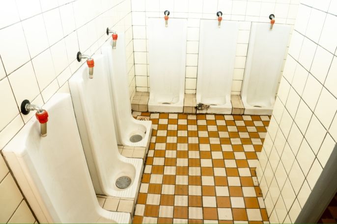 Pronájem, Obchod a služby, Hradešice