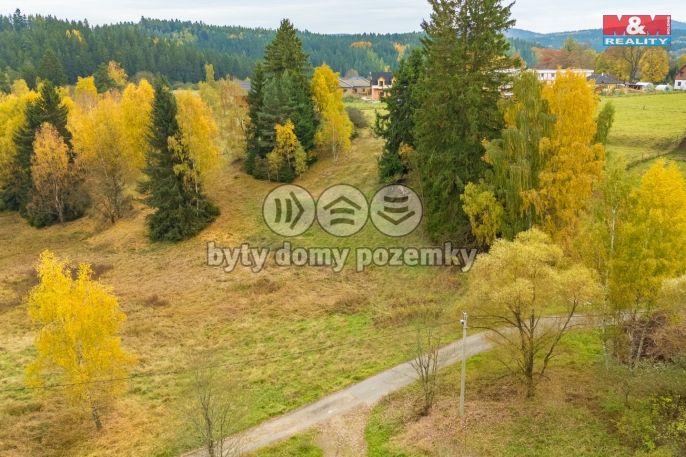 Prodej, Ostatní, Pila