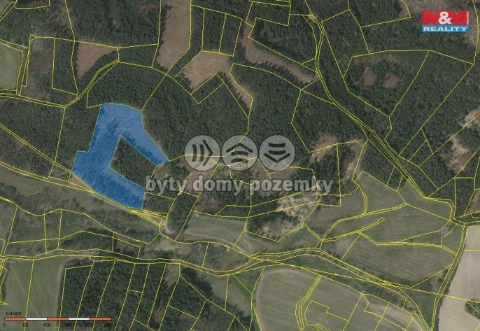 Prodej, Les, Přechovice