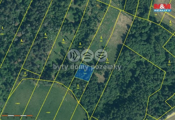 Prodej, Les, Malý Bor