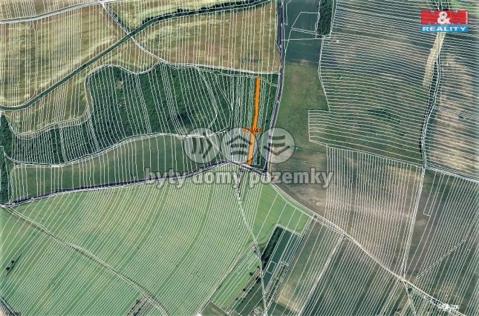 Prodej, Ovocný sad, Syrovín