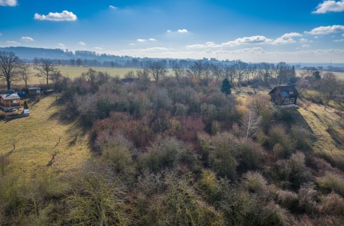 Prodej, Zahrada, Malé Žernoseky