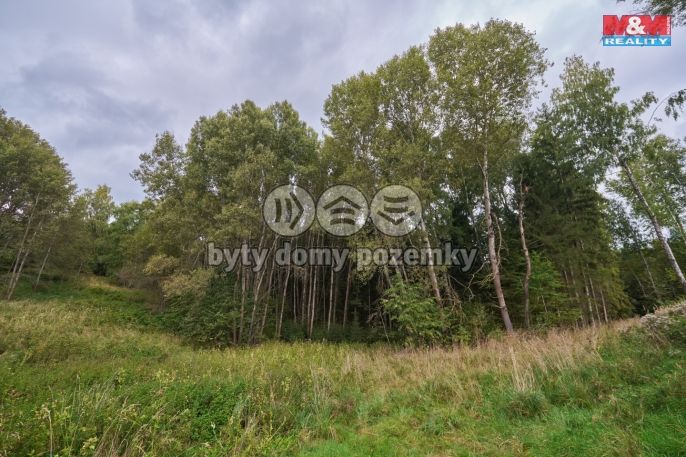 Prodej, Pozemek k bydlení, Trutnov