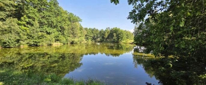 Prodej, Vodní plocha, Slezské Rudoltice