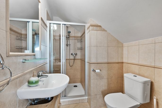 Prodej, Hotel, penzion, Albrechtice v Jizerských horách