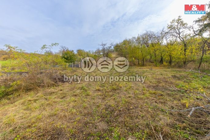 Prodej, Rodinný dům, Milešovice