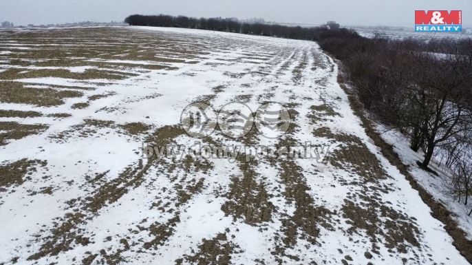 Prodej, Pole, Dolní Slivno